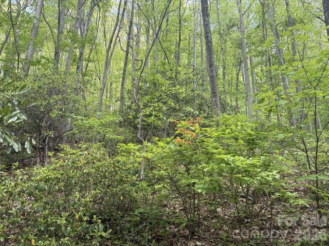 999999 Harwood Road 2, Barnardsville, NC 28709