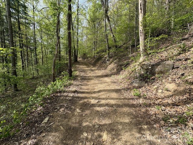 999999 Harwood Road 2, Barnardsville, NC 28709