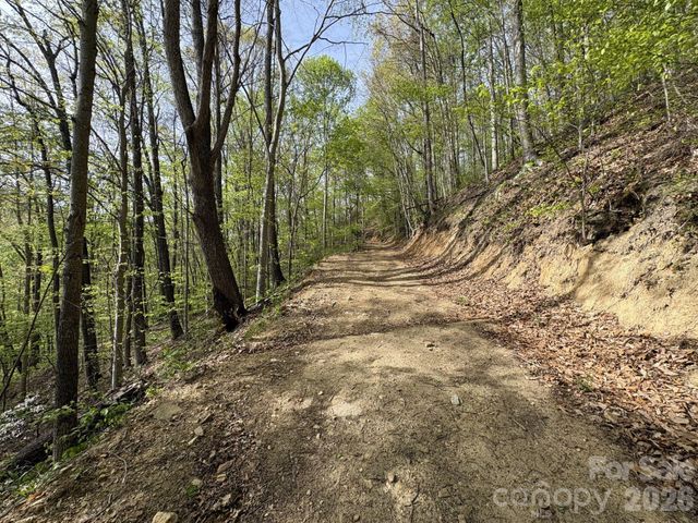 999999 Harwood Road 2, Barnardsville, NC 28709