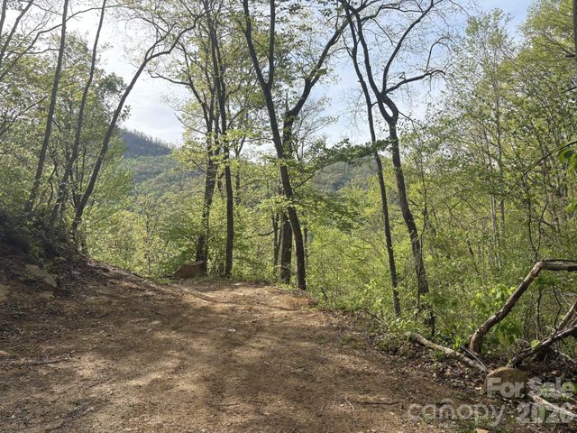 999999 Harwood Road 2, Barnardsville, NC 28709