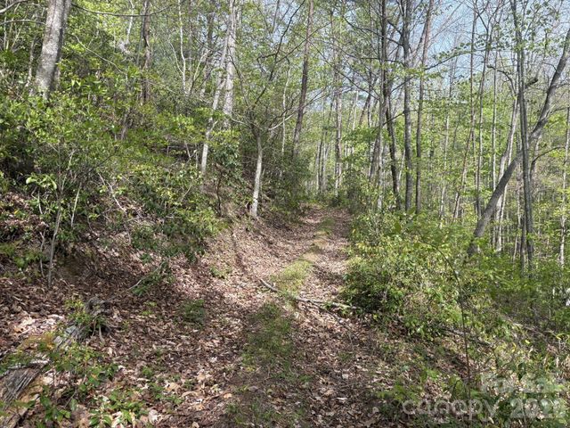 999999 Harwood Road 2, Barnardsville, NC 28709