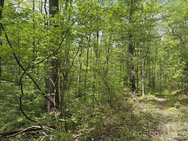 999999 Harwood Road 2, Barnardsville, NC 28709