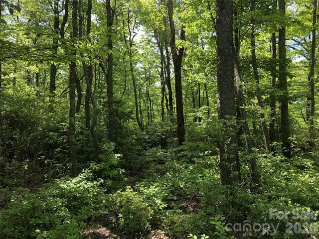 00 Millard Crossing 17, Hendersonville, NC 28792