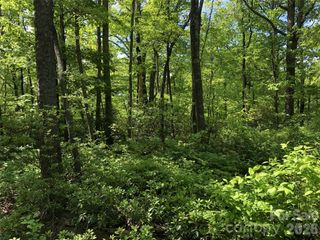 00 Millard Crossing 17, Hendersonville, NC 28792