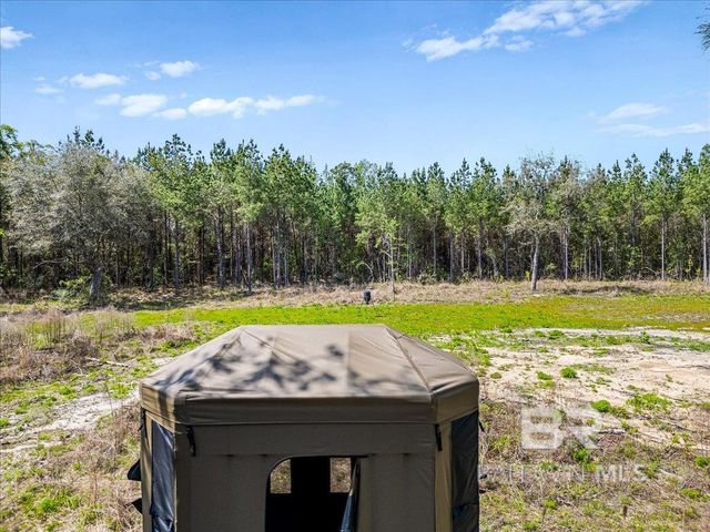 22544 Lechner Road, Robertsdale, AL 36567