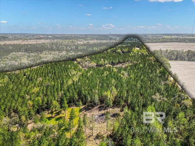 22544 Lechner Road, Robertsdale, AL 36567