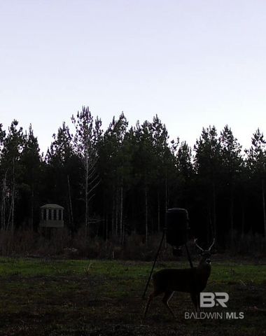 22544 Lechner Road, Robertsdale, AL 36567