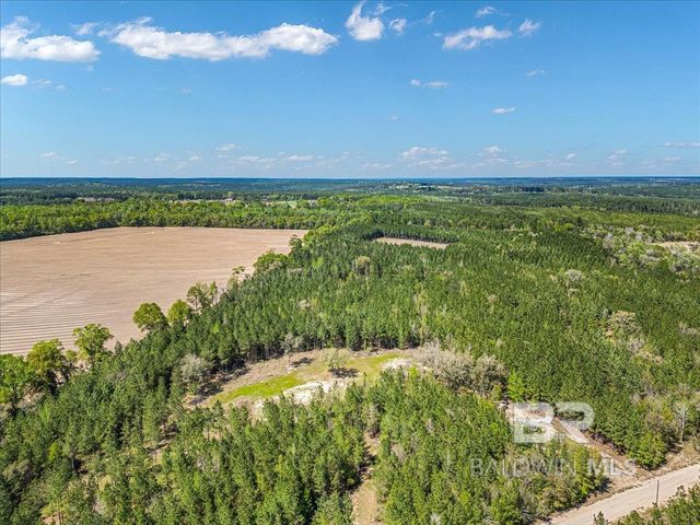 22544 Lechner Road, Robertsdale, AL 36567