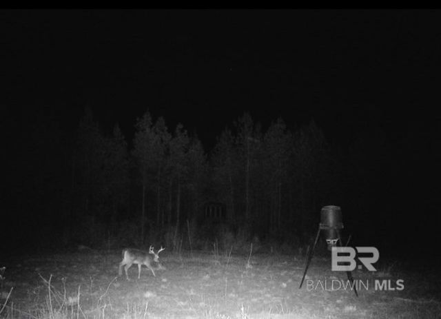 22544 Lechner Road, Robertsdale, AL 36567