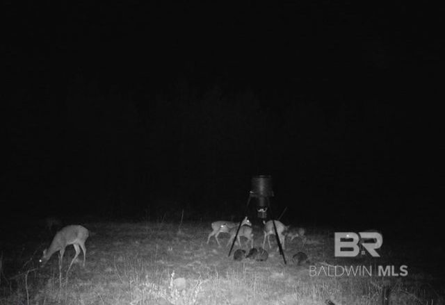 22544 Lechner Road, Robertsdale, AL 36567