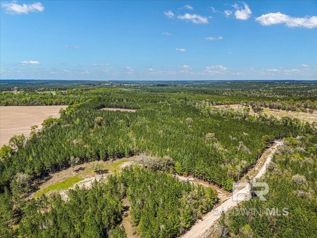 22544 Lechner Road, Robertsdale, AL 36567