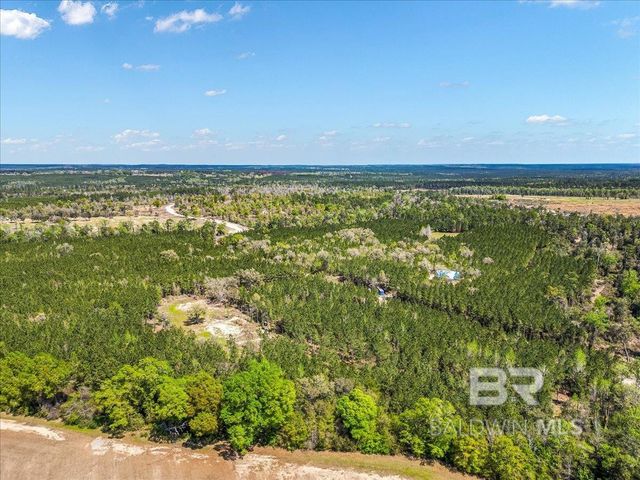 22544 Lechner Road, Robertsdale, AL 36567