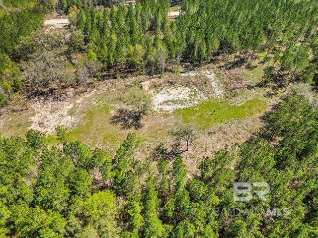 22544 Lechner Road, Robertsdale, AL 36567