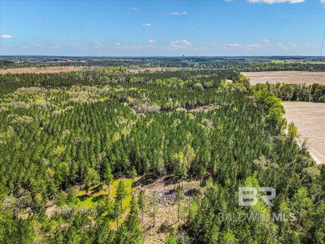 22544 Lechner Road, Robertsdale, AL 36567