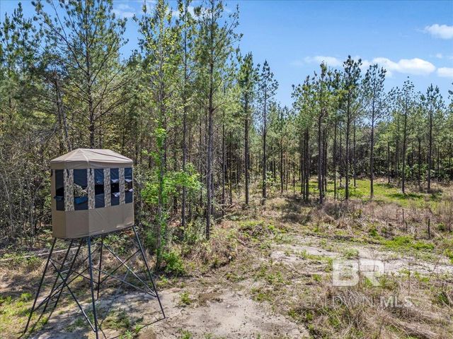 22544 Lechner Road, Robertsdale, AL 36567