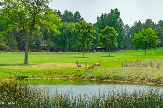 4927 E Mount Pleasant Drive, Flagstaff, AZ 86004