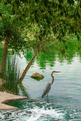 4927 E Mount Pleasant Drive, Flagstaff, AZ 86004