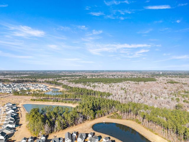 222 Woodland Oak Way, Summerville, SC 29485