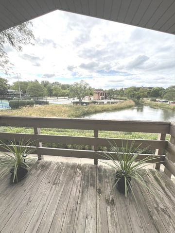 476 Raintree Court 2C, Glen Ellyn, IL 60137