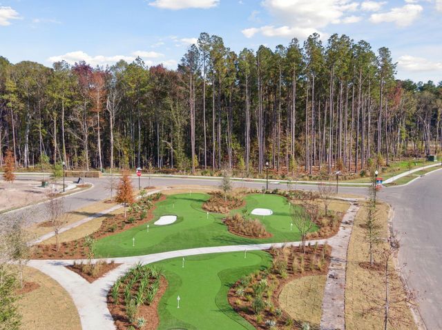 1015 Toadfish Run, Summerville, SC 29485