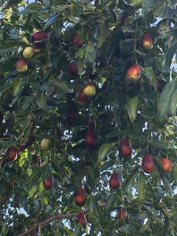 4700 SHALE OAKS AVE, Columbia, MO 65203