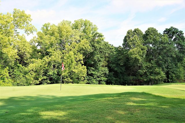 Lot 95A Castlewood Street, Gordonville, TX 76245