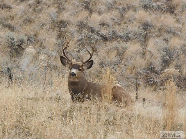 1874 S Hwy 93, Salmon, ID 83467