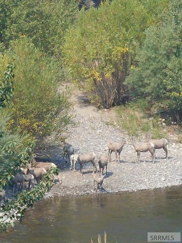 1874 S Hwy 93, Salmon, ID 83467