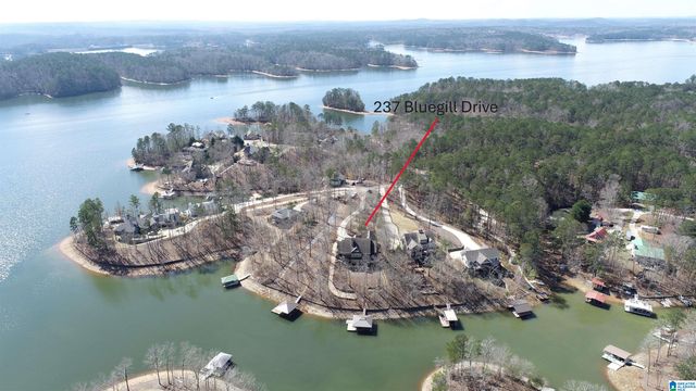 237 BLUEGILL DRIVE, Wedowee, AL 36278