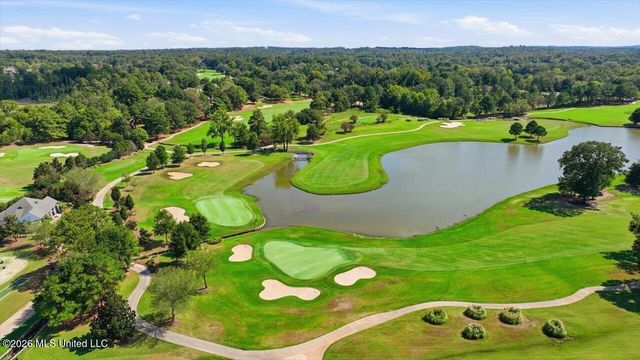 1118 Annandale Drive, Madison, MS 39110