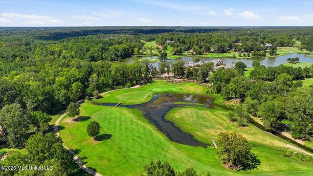 1118 Annandale Drive, Madison, MS 39110