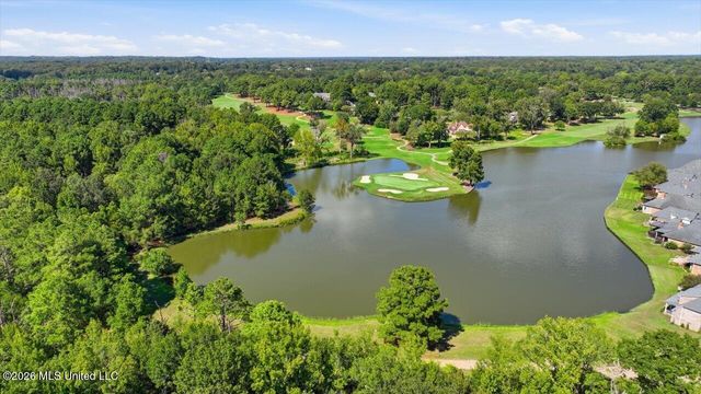 1118 Annandale Drive, Madison, MS 39110