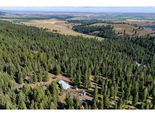 61216 OLD SKI RUN Rd, Joseph, OR 97846