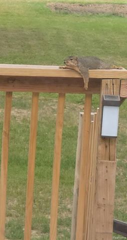 6359 E Bristol Road, Burton, MI 48519