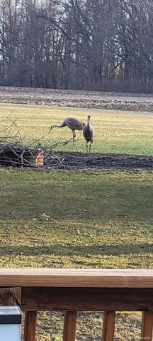 6359 E Bristol Road, Burton, MI 48519