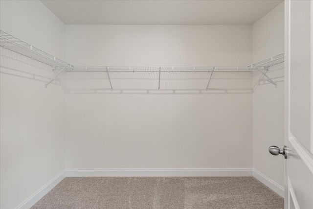 222 Palfrey Drive, Ridgeville, SC 29472