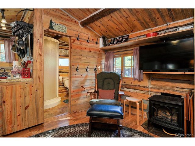 226 S San Juan Ave 6 and 7, Buena Vista, CO 81211