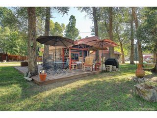 226 S San Juan Ave 6 and 7, Buena Vista, CO 81211