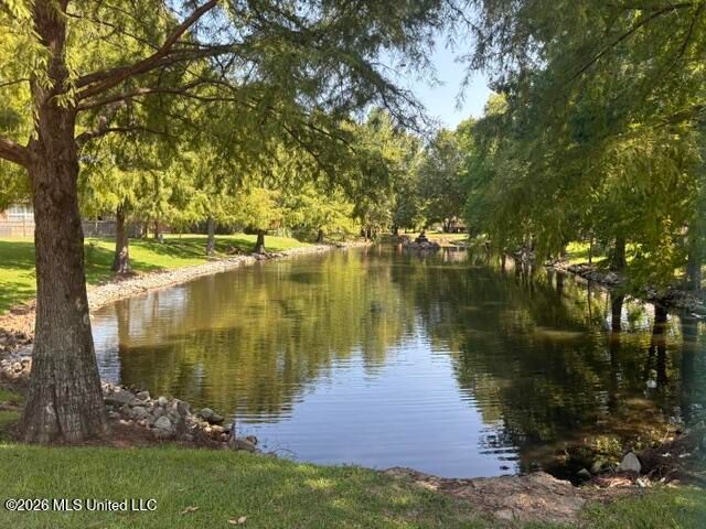 211 S Twin Lakes, Clinton, MS 39056