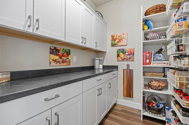 164 Rockingham Circle, Castle Pines, CO 80108