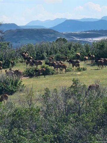 164 Rockingham Circle, Castle Pines, CO 80108