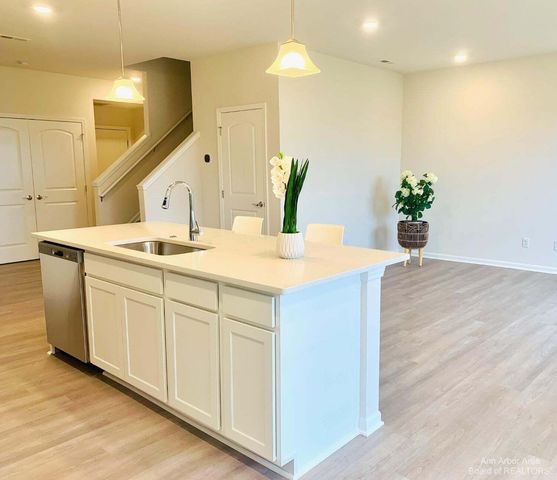 1104 Salt Springs Drive, Saline, MI 48176