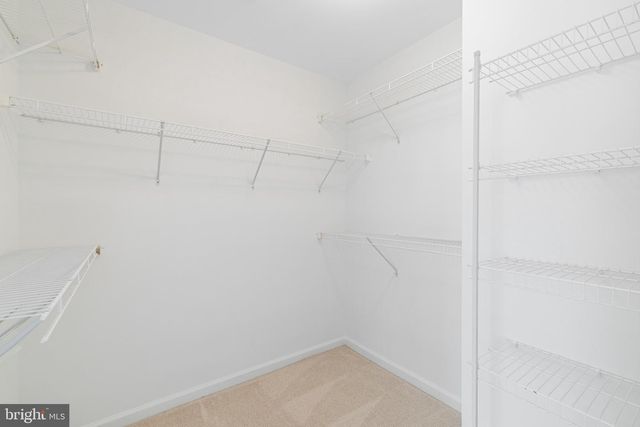 1100 WRIGHT CT, Fredericksburg, VA 22401