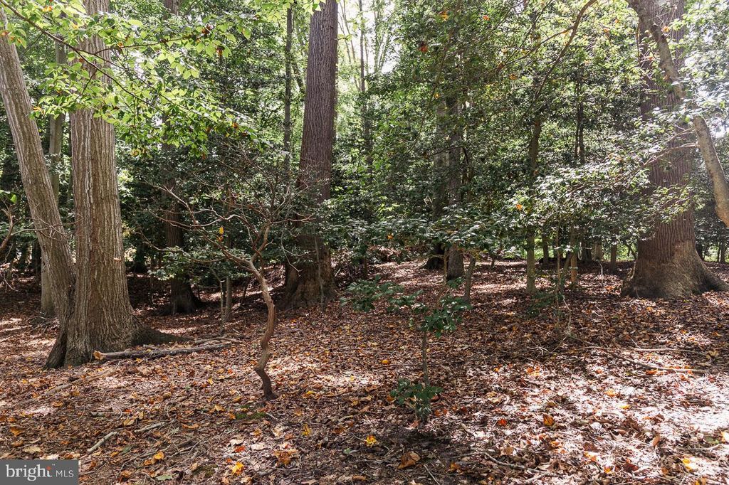 LOT #48 HIGH BANKS DRIVE, Easton, MD 21601