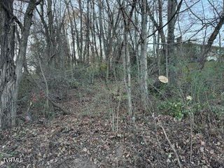 Tbd Briscoe Drive, Bristol, VA 24202
