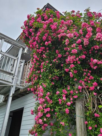 14 S Flamingo Street, La Marque, TX 77568