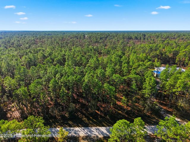 0 Raschke Run, Weeki Wachee, FL 34614