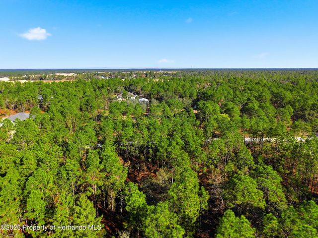 0 Raschke Run, Weeki Wachee, FL 34614