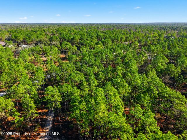 0 Raschke Run, Weeki Wachee, FL 34614