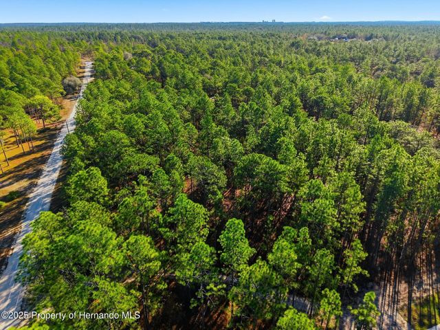 0 Raschke Run, Weeki Wachee, FL 34614